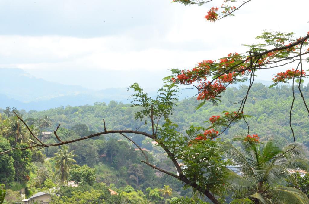 The Buena Vista แคนดี้ ภายนอก รูปภาพ