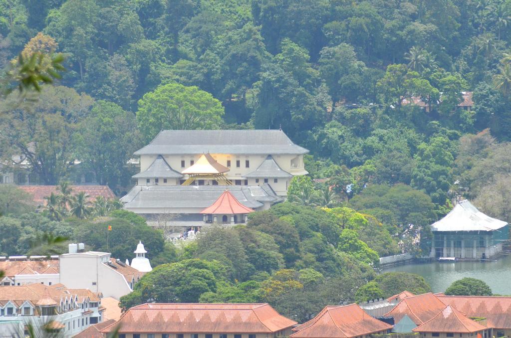 The Buena Vista แคนดี้ ภายนอก รูปภาพ