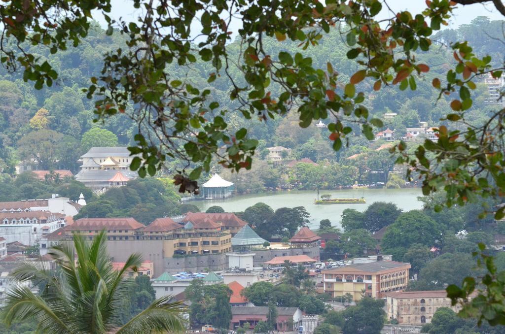 The Buena Vista แคนดี้ ภายนอก รูปภาพ