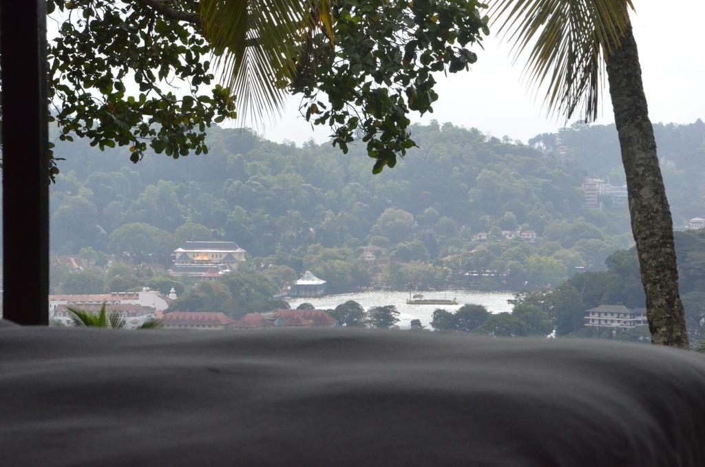 The Buena Vista แคนดี้ ห้อง รูปภาพ